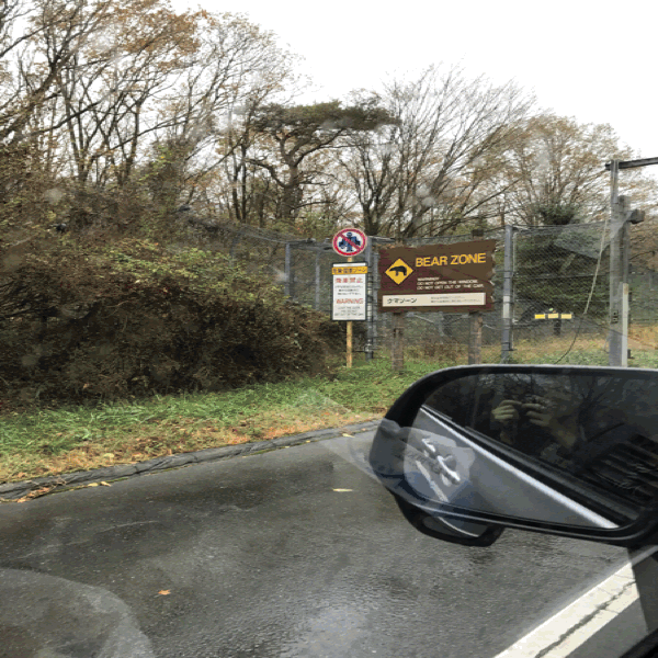 e0113490_22191083.gif