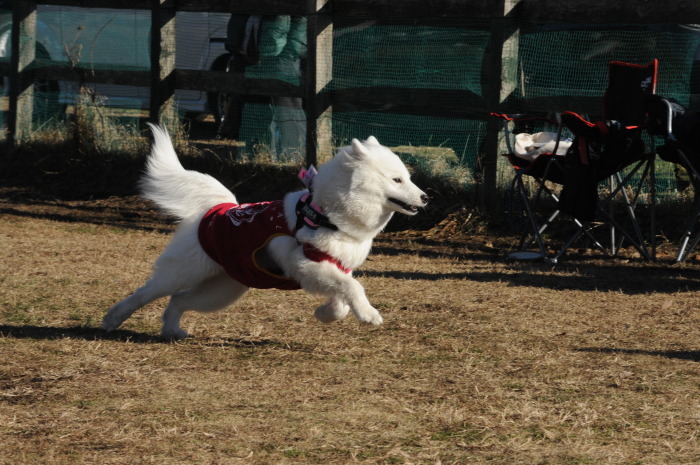 a0049296_07305469.jpg