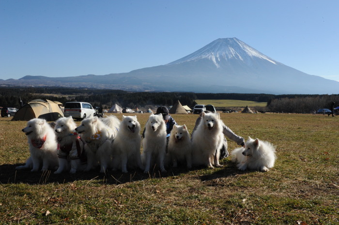 富士さも2017&ふもとっぱらキャンプ 3_a0049296_19340483.jpg