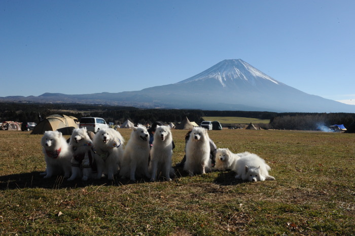 富士さも2017&ふもとっぱらキャンプ 3_a0049296_19343706.jpg