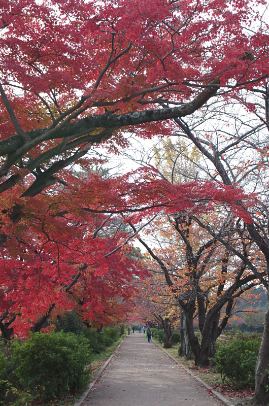 c0382798_11230157.jpg