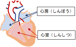 一般健康診断（２２）＠労働安全衛生法_d0364500_15200601.gif