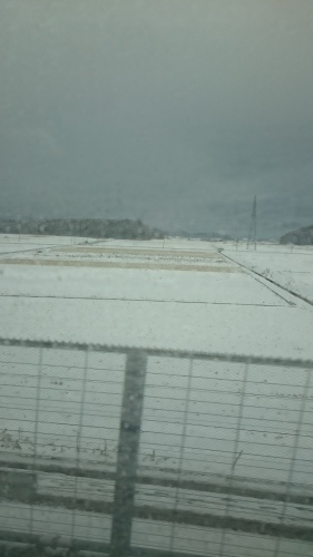 e0351303_20254210.jpg