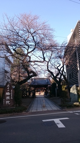 e0351303_20295326.jpg