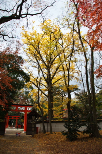 a0263109_19342253.jpg