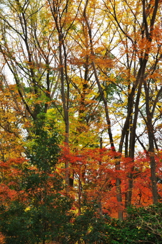 a0263109_19403235.jpg