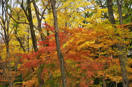 a0263109_19444959.jpg
