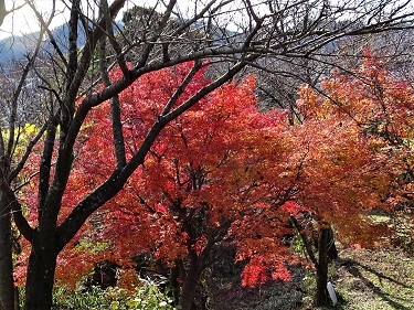 e0360409_20131400.jpg