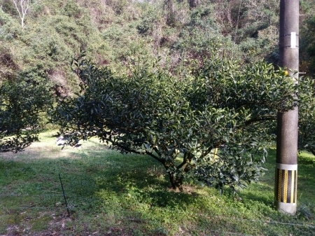 a0300410_16153212.jpg