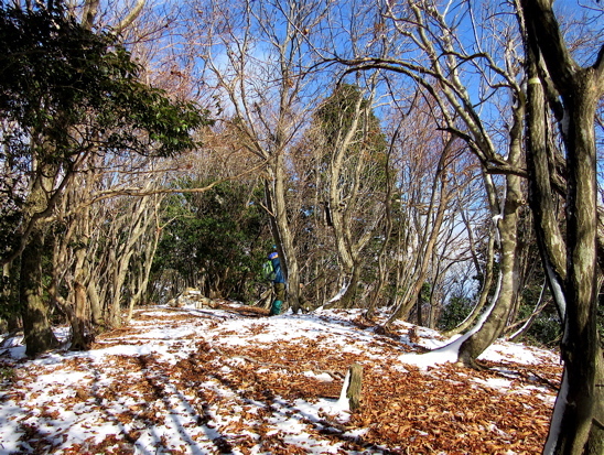 a0164011_20260309.jpg