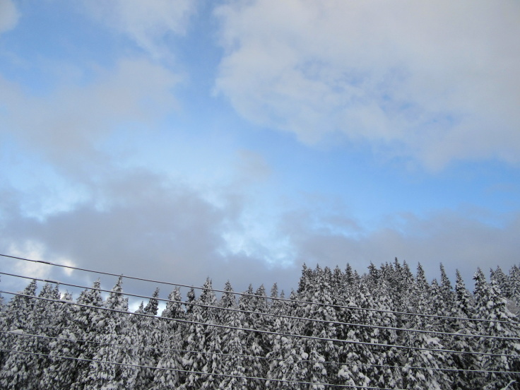 f0067514_22120505.jpg