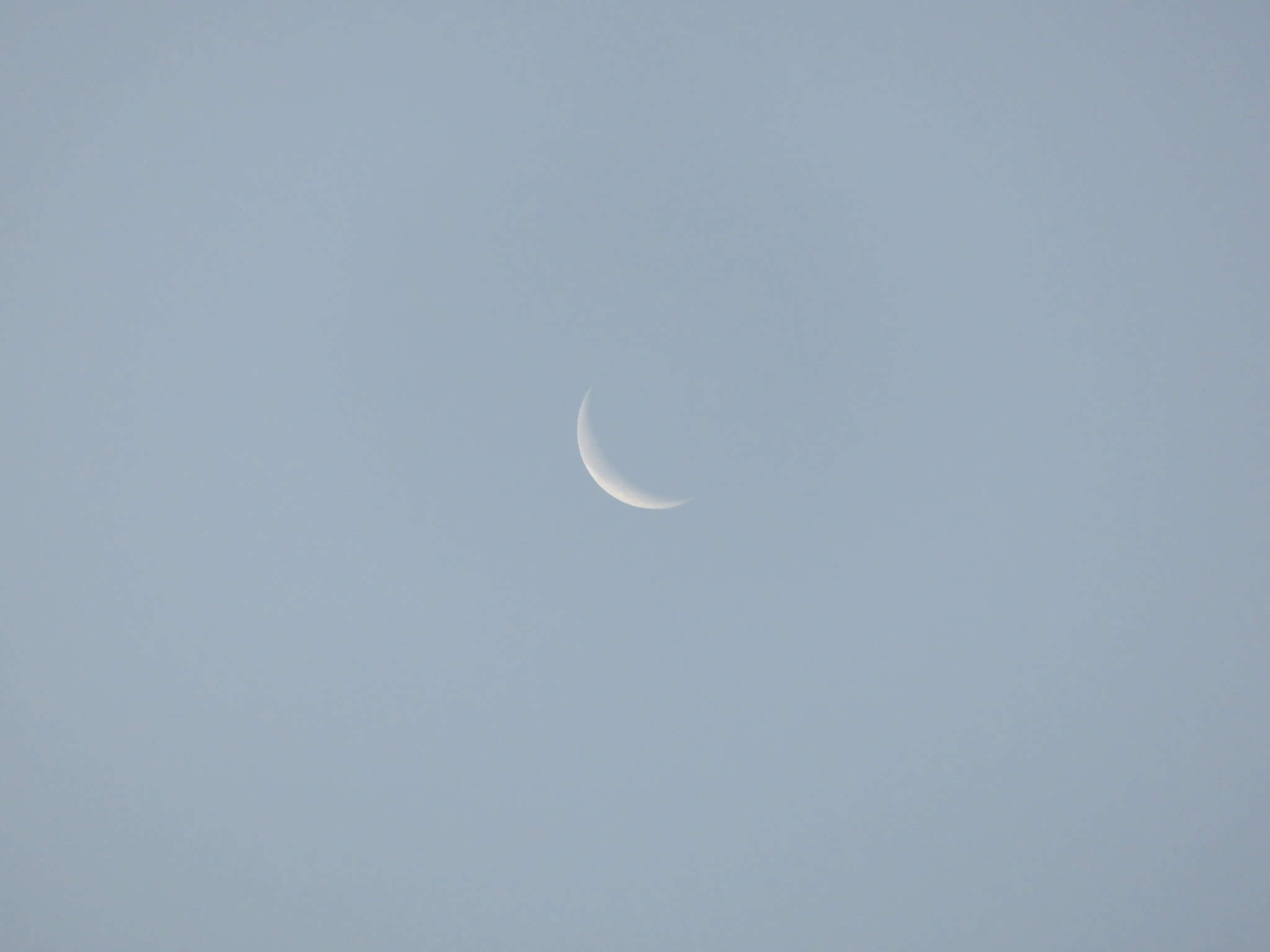 b0344816_21301332.jpeg