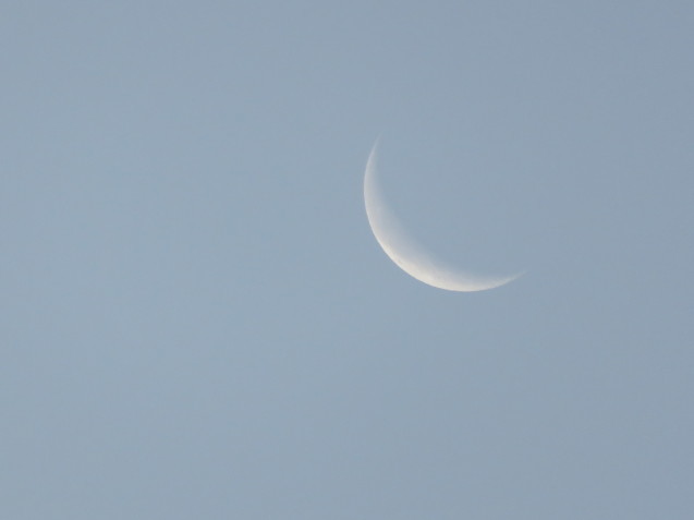 b0344816_21304707.jpeg