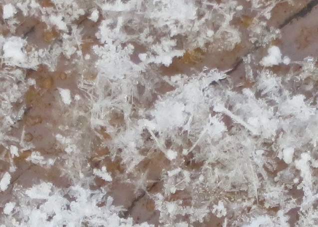 b0344816_21341230.jpeg