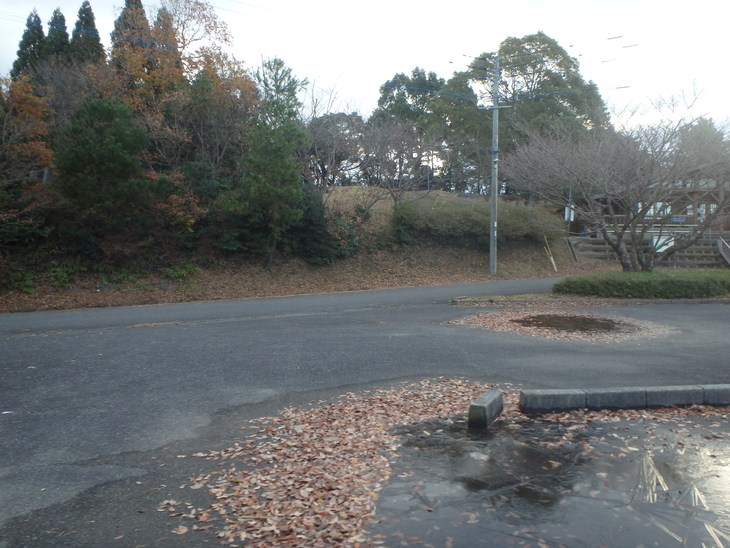 f0193521_12284122.jpg