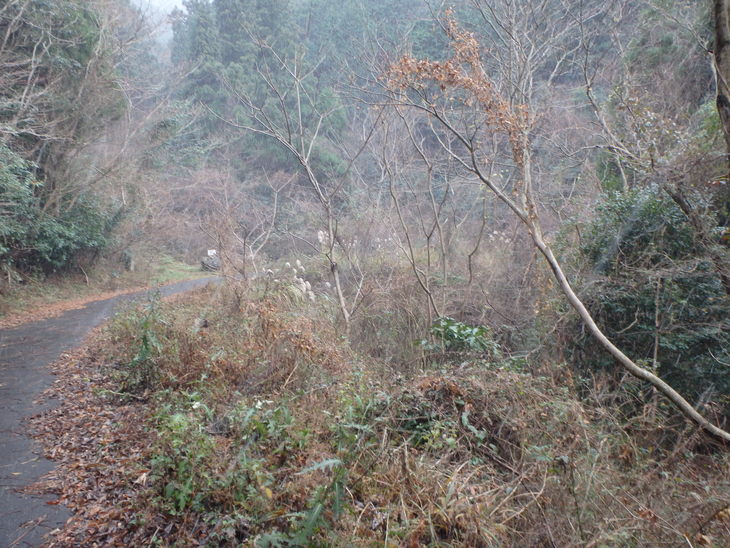f0193521_517767.jpg