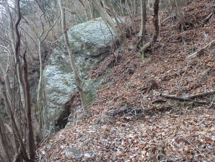 f0193521_52540.jpg