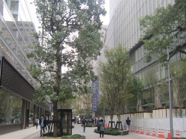 d0162225_14525369.jpg