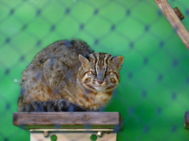 2016&2017 名古屋旅行記 【東山動物園】_e0237625_16181194.jpg