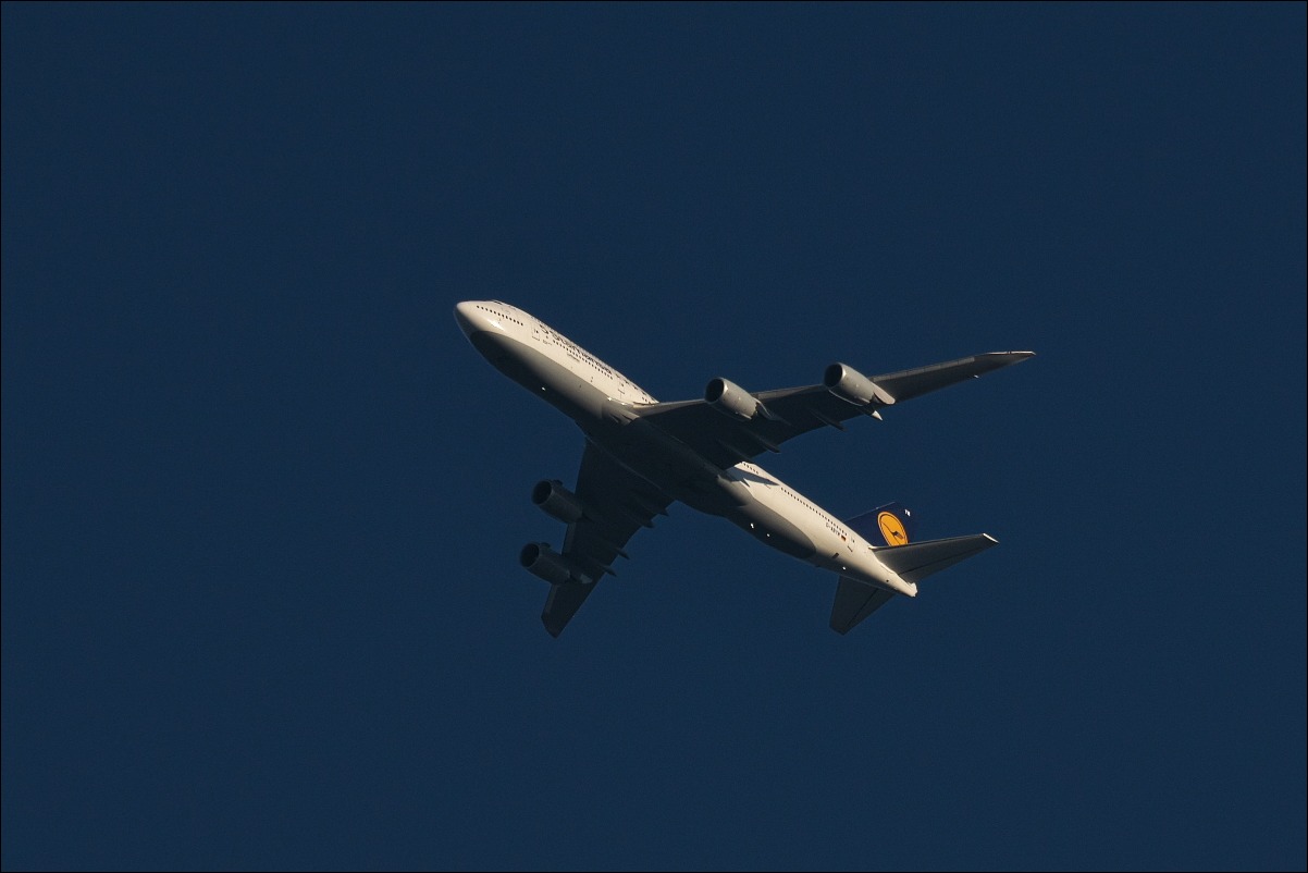 d0137627_001569.jpg