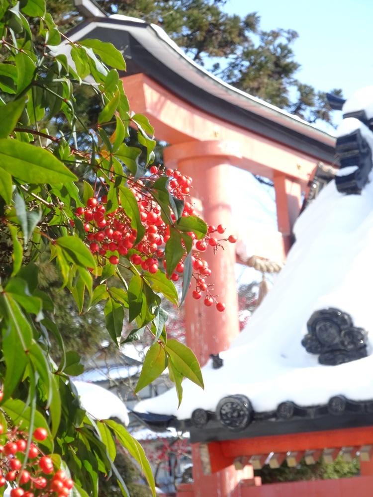 お天気回復_c0111229_19020711.jpg