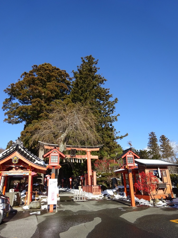 お天気回復_c0111229_19022259.jpg