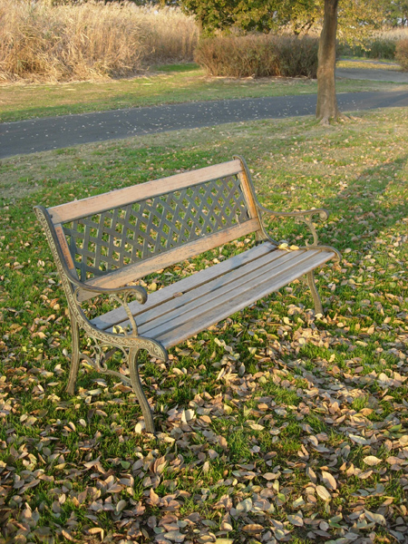 e0097534_117425.jpg