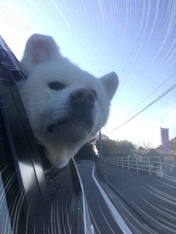 e0364035_10285614.jpeg