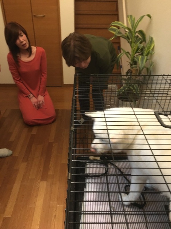 e0364035_22341374.jpeg