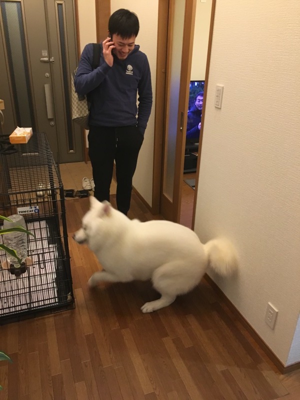 e0364035_23024053.jpeg