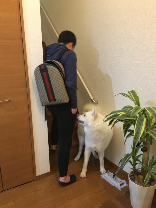 e0364035_23043746.jpeg