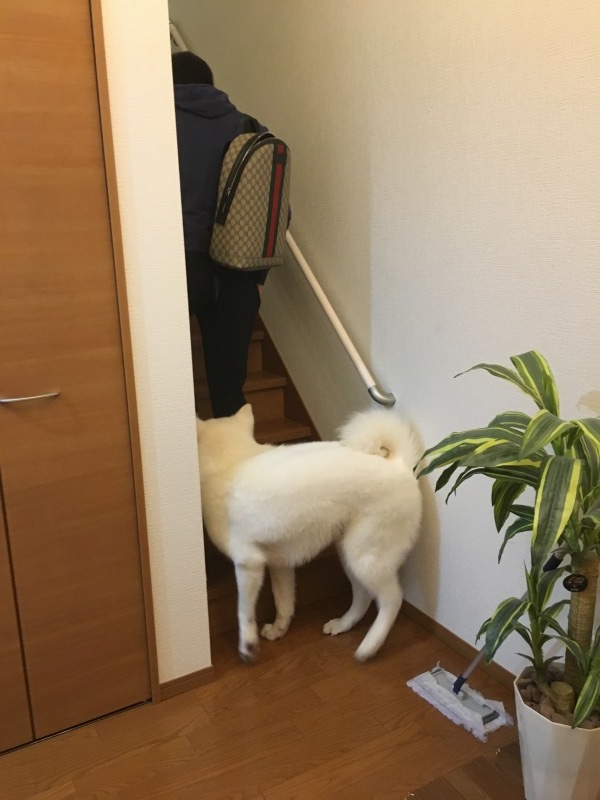 e0364035_23050469.jpeg