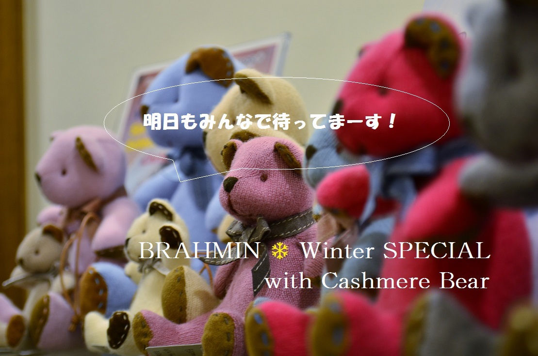  ”BRAHMIN ❄ Winter SPECIAL POP UP with Cashmere Bear  ...12/14thu\"_d0153941_19262314.jpg