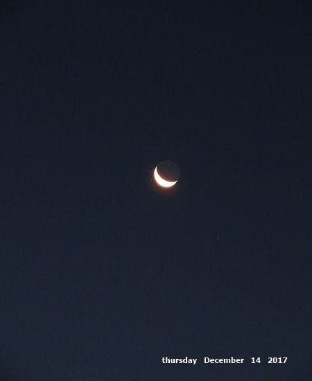 e0365941_19510743.jpg