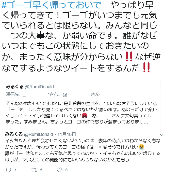 ゴーゴ_f0002743_23355.jpg