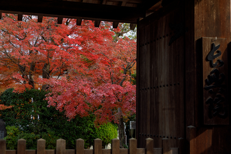 京都の紅葉2017 桂春院と妙心寺の塔頭の紅葉_f0155048_23201013.jpg
