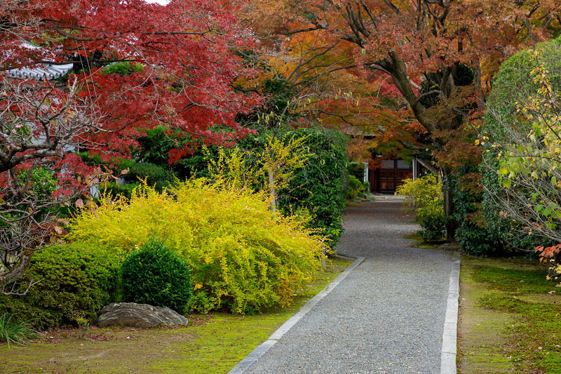 京都の紅葉2017 桂春院と妙心寺の塔頭の紅葉_f0155048_23223252.jpg