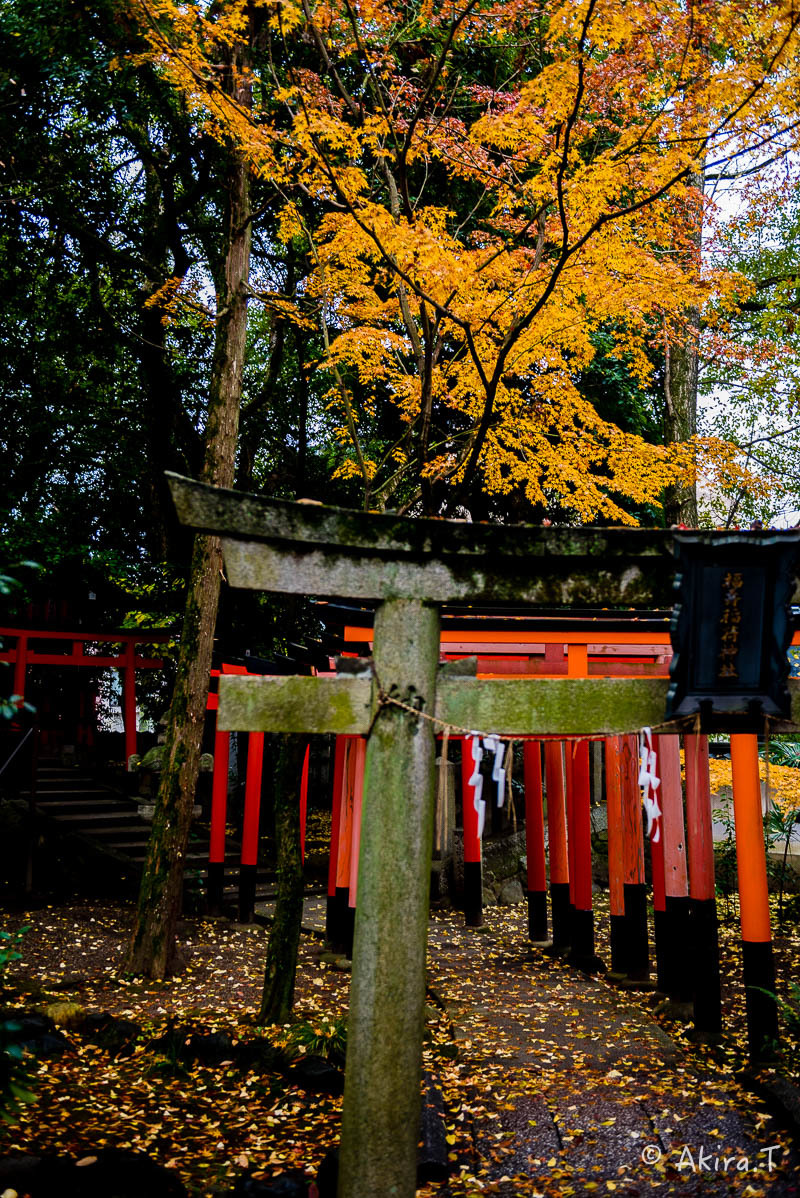 京都の紅葉 2017 〜20〜_f0152550_22481584.jpg