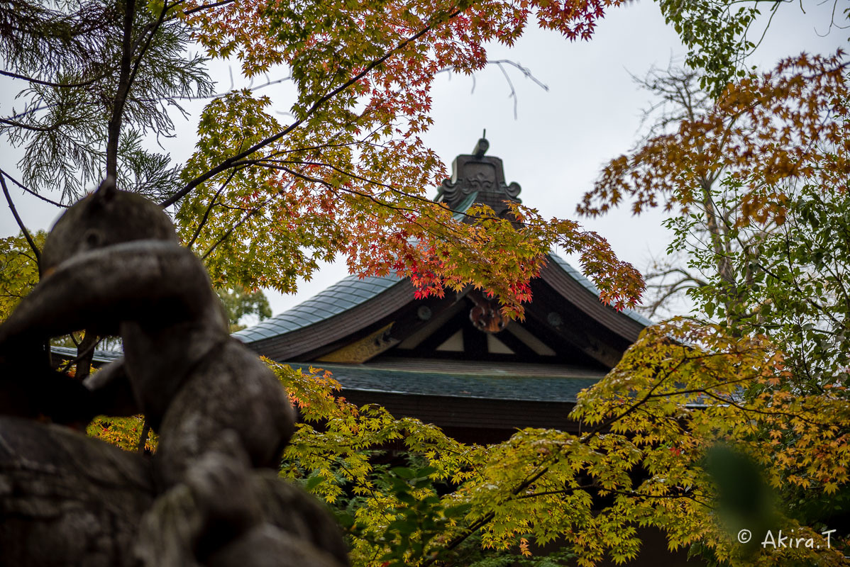 京都の紅葉 2017 〜20〜_f0152550_22490337.jpg