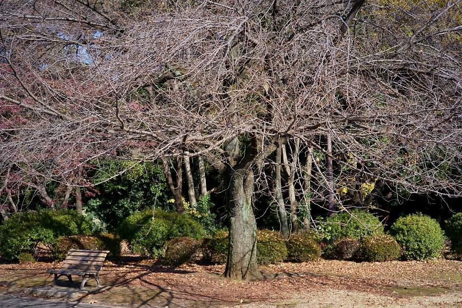 c0350754_22251078.jpg