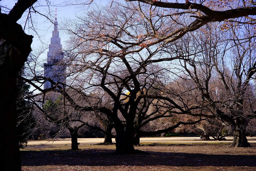 c0350754_22252373.jpg