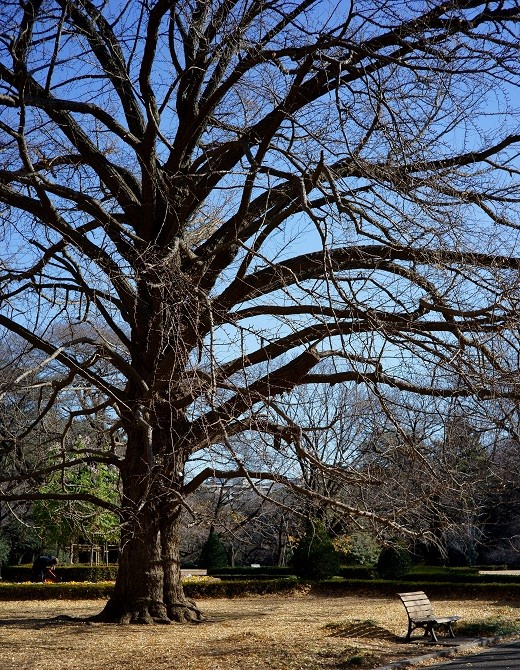 c0350754_22253391.jpg