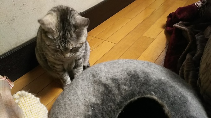 パートナーシップのキルト番号♪_f0374160_22283970.jpg