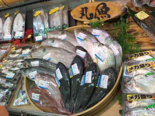 旅の過ごし方。宮崎編。_d0137764_11202758.jpg