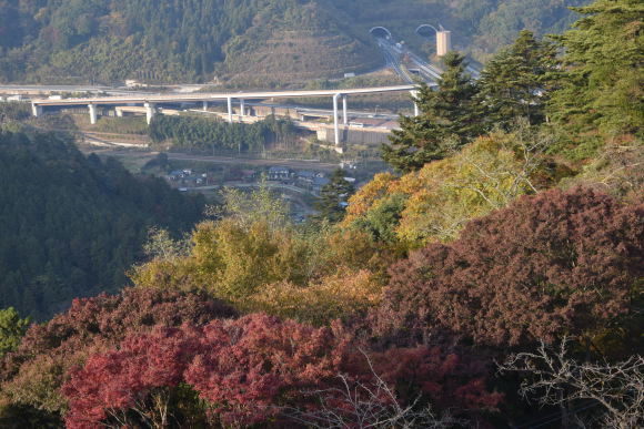 b0242873_23482007.jpg