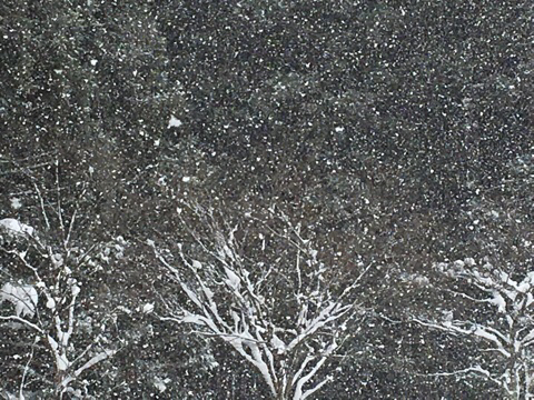 c0380878_16212772.jpg
