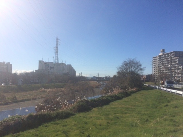 d0061678_11551925.jpg