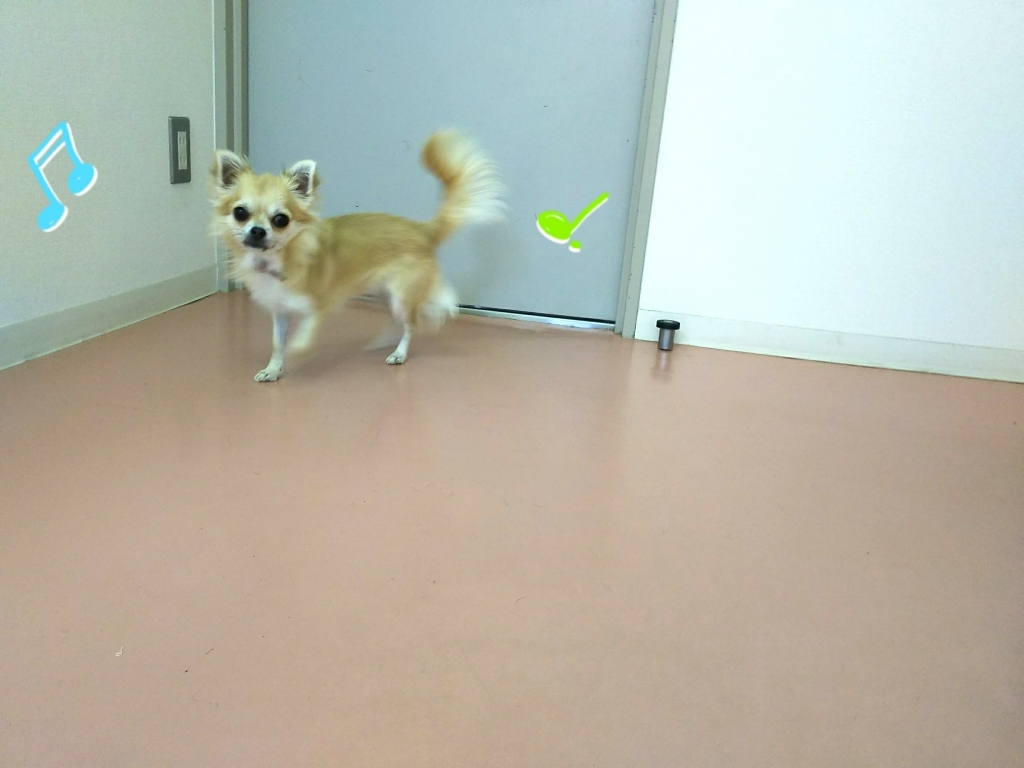 トレーニングブログ_f0357682_20334548.jpg