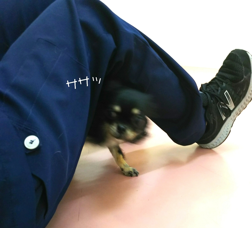 トレーニングブログ_f0357682_20335650.jpg
