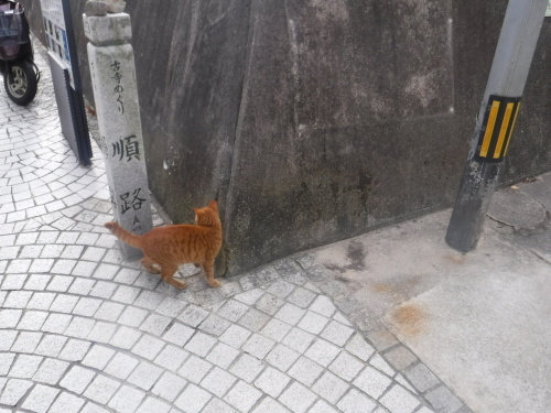 d0174683_12152413.jpeg